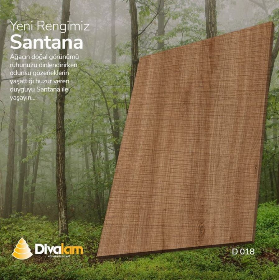 Our New Color Santana